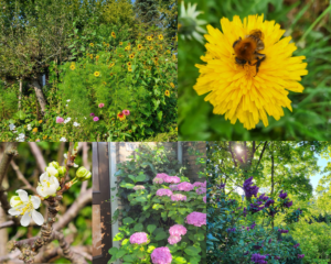 Fotocollage voor OpenTuinenDag Lunetten